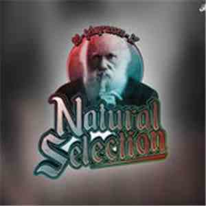 San Dyego, Fredde Blæsted & Melkers - Natural Selection 2017