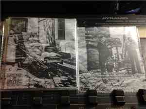 Laboratorio de Mutaciones - Proyecto Antimusical