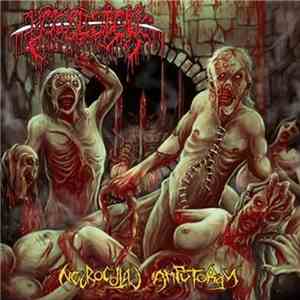Bowel Stew - Necrocoital Amputorgy