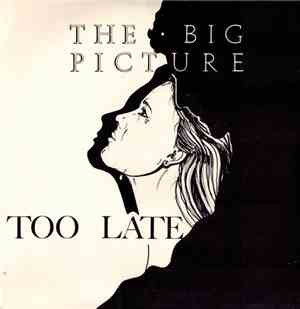 The Big Picture  - Too Late
