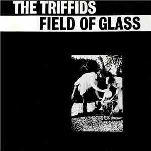 The Triffids - Field Of Glass