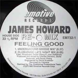 James Howard - Feeling Good (The Remixes)