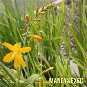 Mandy & Exec - Summer Spirit 2005
