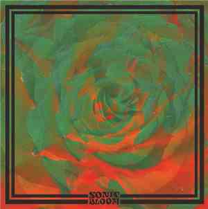 Night Beats - Sonic Bloom