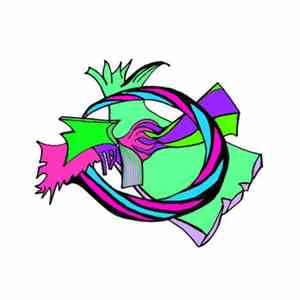 The Miami Dolphins - Neon And Foam