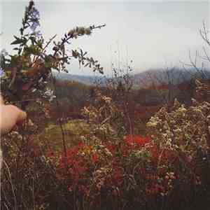 Eva & The Oak - Goodnight Bear