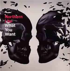 Northern Lite - What You Want
