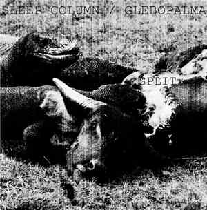 Sleep Column / Glebopalma - Split