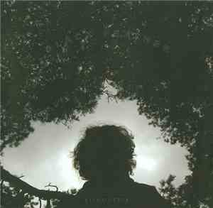 Black Feather - Silhouette