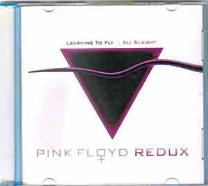 Ali Slaight - Learning to Fly - Pink Floyd Redux