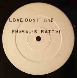 Phemales - Love Don't Live Here Anymore