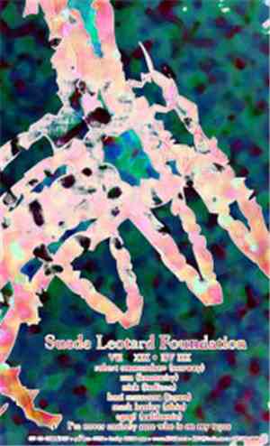 Suede Leotard Foundations - Suede Leotard Foundations