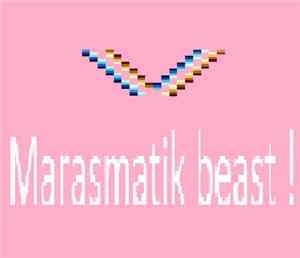 VxZx - Marasmatik Beast !