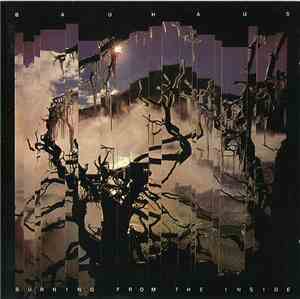 Bauhaus - Burning From The Inside