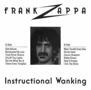 Frank Zappa - Instructional Wanking