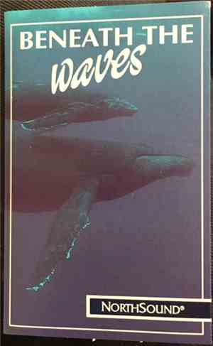 Jonas Kvarnström, Stefan Schramm - Beneath The Waves:  Sounds Of The Humpback Whales And Music
