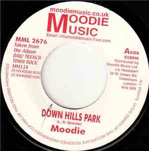 L. Moodie, The Soul Syndicate - Down Hills Park
