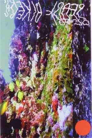 Dreamers Cloth - Pearl Divers