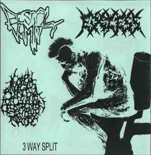 Bestial Vomit  / Excess  / R.I.B.B.T.A.P.O.M.N. - 3 Way Split