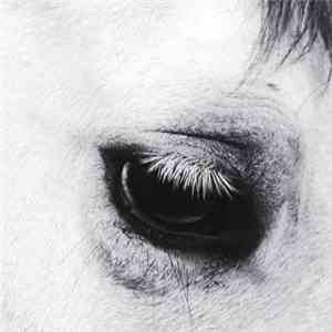 Creepoid - Horse Heaven