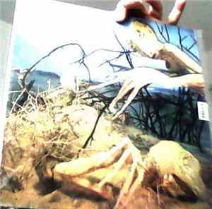 Dixie Dregs - Dregs Of The Earth