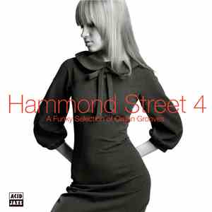 Various - Hammond Street 4