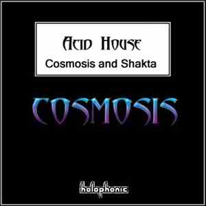 Cosmosis And Shakta - Acid House