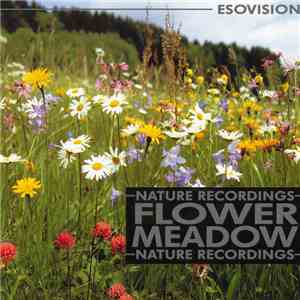 Klaus Back & Tini Beier - Flower Meadow