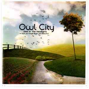 Owl City - Deer In The Headlights