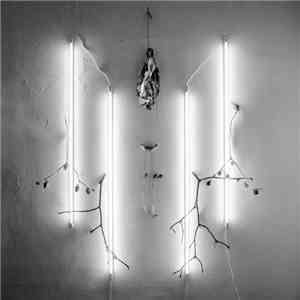 Alkerdeel / Nihill - The Abyss Stares Back #4