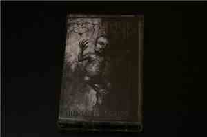 Esthesis - Human Infection