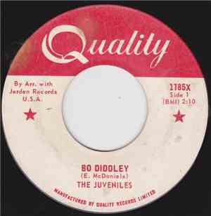The Juveniles - Bo  Diddley