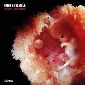 Priot Ensemble - Present Continuous