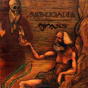 Sadgiqacea // Grass  - Grass / Sadgiqacea Split