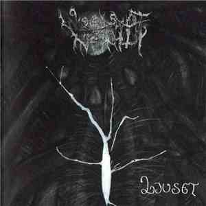 Woods Of Infinity - Ljuset