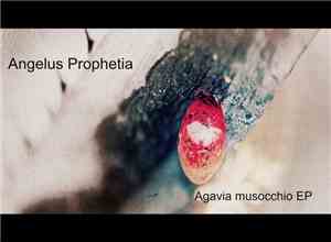 Angelus Prophetia - Agavia Musocchio