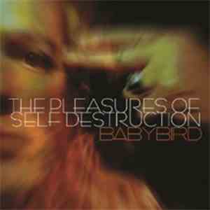 Babybird - The Pleasures Of Self Destruction