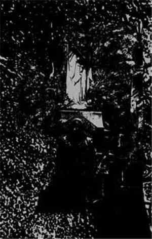 Glass Coffin - Laying Waste To The Kingdom Of Light