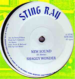 Shaggy Wonder - New Sound