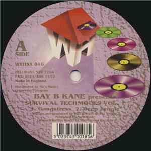 Bay B Kane - Survival Techniques Vol. 1