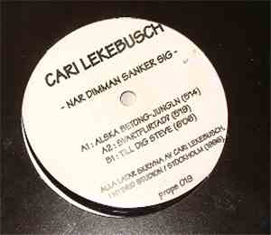 Cari Lekebusch - Nar Dimman Sanker Sig