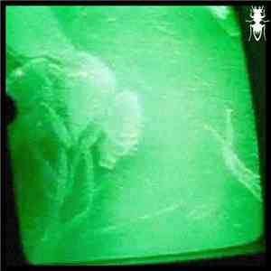 Ophidian - Qotile