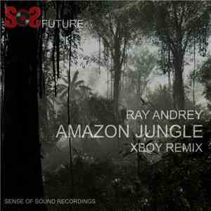 Ray AndRey - Amazon Jungle