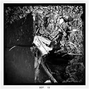 Dirk Serries - Streams Of Consciousness 152401