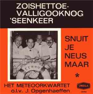 Het Meteoor Kwartet - Zoishettoevalligooknog'seenkeer