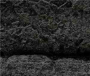 rr.gross - The Reformation Of The Universe