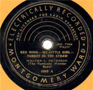 Walter C. Peterson - Red Wing – My Little Girl – Turkey In The Straw / After The Ball – Peek A Boo – In The Good Old Summertime