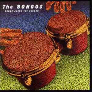 The Bongos - Drums Along The Hudson