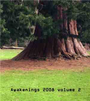 Various - Awakenings 2008 Volume 2
