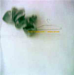White Winged Moth - Ribbon Arcade